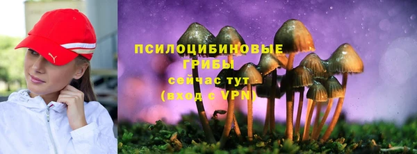 a pvp Аркадак