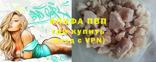 a pvp Аркадак