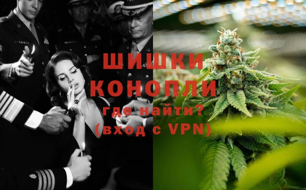 a pvp Аркадак
